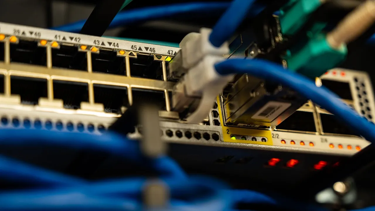 Website-Migration und Hosting-Umzug